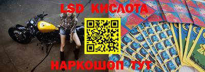 ПСИЛОЦИБИНОВЫЕ ГРИБЫ Абакан