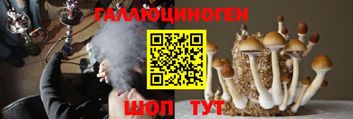 Альметьевск  Псилоцибиновые грибы Cubensis  Вход с VPN 